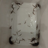 SHXI泥鳅苗新鲜幼苗小泥鳅本地活体圆鳅苗活筏钓体放生养殖苗 2-3cm  100条+10路损 实拍图