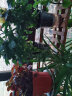 木马人简易吊篮可折叠落地式花架客厅室内盆栽架绿植装饰花盆架子阳台 【可折叠】经典款-四层茶色70长 实拍图