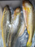 三都港 冷冻宁德大黄鱼700g 2条装 黄花鱼 生鲜 鱼类 深海鱼 海鲜水产 实拍图