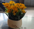 九千谷仿真植物盆栽绿植摆件客厅家居装饰仿真花高档花束摆设向日葵3452 实拍图