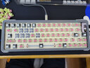 TTC快银轴V2 电竞机械键盘线性轴 39gf回弹跟手触发快 三脚热插拔 10颗/罐装 快银轴v2 实拍图