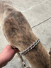 狗圈脖圈不锈钢p链大型犬金毛德牧罗威纳拉布拉多训犬p绳拴狗脖套 3.0丝粗（18-25斤）45厘米 不锈钢P链+限位环+保险扣 实拍图