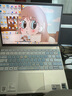 戴尔（DELL）灵越13Pro 5330N 13.3英寸AI超极本EVO高端轻薄女学生办公笔记本电脑 星河银【2.5K屏+100%色域】 Ultra5/16G内存/512G固态/定制 指纹 实拍图