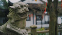 索尼（SONY）全画幅 定焦镜头 微单镜头 50F1.8/35F1.8 /55F1.8 /85F1.8  人像 特写 街拍 夜景大光圈定焦 FE55F1.8 ZA蔡司 实拍图