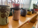 仟尚亿韩式花盆组合创意个性粗陶透气肉肉老桩桌面家用室内大号多肉花盆 地中海02组合5个 中等 实拍图
