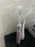 米家 小米电动牙刷T302成人/学生 4种净齿模式 150天续航 4支刷头 霜紫色 礼物推荐 晒单实拍图