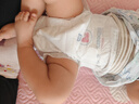 贝乐熊新陪伴婴儿拉拉裤轻薄透气男女宝宝通用成长学步裤弱酸柔感小内裤 XL码44片 实拍图