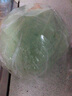 圆白菜 火锅食材 包菜 卷心菜 绿甘蓝 新鲜蔬菜1枚装 禾人 1枚装 实拍图