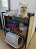 溢彩年华猫砂盆上方置物架猫咪宠物用品收纳架狗狗零食储物架子6436 实拍图