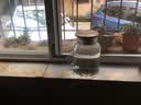天喜（TIANXI）凉水壶大容量玻璃杯冷水壶耐高温防爆家用凉水杯茶具果汁 【单壶+清韵水杯*6】 1800ml 实拍图