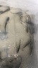 大草鱼苗淡水养殖活体鱼塘吃草食蚊鱼大规格半斤皖鱼冷水观赏食用草鱼鱼苗 30条8-10厘米草鱼加3条防损 实拍图