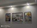 轩棠树客厅装饰画沙发背景墙挂画三联壁画北欧轻奢现代简约轻奢卧室墙画 一帆风顺-01款 左右35*50中50*70cm晶瓷画 实拍图
