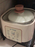 苏泊尔电炖锅隔水电炖盅煲汤炖汤锅白陶/紫陶内胆燕窝炖盅婴儿辅食BB炖智能煮粥锅酵酿菜 【一锅五白瓷胆】 2.5L 实拍图