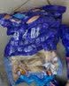 七冰东 蛏子肉 去壳蛏子王肉超大竹蛏子新鲜竹节蛏子鲜活现剥生鲜 贝类 蛏王肉 1500g 500g/袋 实拍图