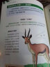 画给孩子的动物百科 : 精装彩绘本（为中小学孩子量身打造的趣味动物百科，给孩子的生物学启蒙读物。） 实拍图
