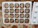 许三娘北海海鸭蛋 年货礼盒送礼即食烤咸鸭蛋 广西红树林流油起沙熟鸭蛋 【65g*20枚】礼盒 实拍图