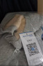 真维斯（Jeanswest） 冬季加绒加厚卫衣男士外套宽松简约大码青少年国潮圆领套头上衣 灰#ZS金狮子 L 【钜厚羊羔绒 一件可过冬】 实拍图
