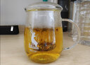 物生物（RELEA）玻璃杯男女士茶水分离办公泡茶杯双层耐高温花茶杯带把手 落羽 500ml 实拍图