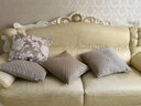 思篇欧式奢华提花沙发抱枕加厚布艺客厅靠垫套大号床头靠背办公室腰枕 米色牡丹(雪尼尔提花) 50*50cm抱枕套+枕芯 实拍图