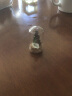 唯誠 天然水晶矿石标本摆件岩石原石矿物晶体收藏品儿童科普教学礼物 电镀彩色单晶体加瓶子一套 实拍图