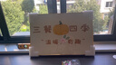 瑞尚（RUISHANG） 遮挡电表箱装饰画配电箱可推拉壁画客厅挂画有框电源箱开关盒 三餐四季 60*40可覆盖（横50竖30）晶瓷面 实拍图