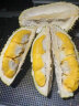 马猫马来西亚猫山王榴莲 生鲜水果液氮冷冻保鲜树熟带壳榴莲D197整个 6斤-7斤（保五房肉 送礼优选） 实拍图