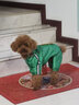 CHU XING JIA 狗狗雨衣全包卡通防水四脚幼犬秋冬宠物衣服泰迪透明雨衣宠物 绿色恐龙M（胸围47cm背长33cm） 实拍图