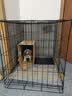 蔻丝狗笼子小型犬中型犬室内家用带厕所分离折叠免安装狗笼子柯基柴犬 黑折叠铁丝款【85*60*70】35斤内 实拍图
