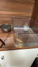 悠梵萌办公室鱼缸加厚透明乌龟缸客厅家用桌面圆形迷你小型金鱼缸 晒单实拍图