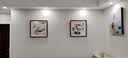 紫腾随轩齐白石装饰画新中式客厅背景墙面挂画卧室饭厅餐厅水墨虾壁画实木 柿子 60*60cm（有机玻璃）（默认红木色框） 实拍图