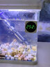 FISH BABY鱼缸温度计测水温观赏鱼水族箱专用家用防水小胖潜水 强烈推荐【外贴式】高精度LED数显屏温度计 实拍图