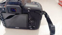 尼康（Nikon） D7500进阶款家用旅游高清数码单反相机 D7500 单机（胜任多种光线环境） 实拍图