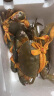 【活蟹】掌昕鲜三门青蟹 公母对蟹（6-7两/只）4只 生鲜活螃蟹海鲜水产送礼盒非帝王蟹 晒单实拍图