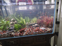 疯狂水草鱼缸造景装饰溪流石底部砂石天然溪流缸南美缸造景石乌龟躲避晒台 溪流缸造景套餐（60-70cm缸） 实拍图