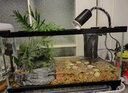 爬将军 乌龟缸特大号 玻璃造景晒台草龟大型养龟箱盆别墅家用生态龟缸 40cm缸【餐三】双流水晒台13件套 实拍图