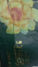 五羊（FIVERAMS）薄薄芯婴儿成长裤尿不湿宝宝透气干爽超薄轻柔小内裤 成长裤XXXL码12片 实拍图