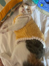 铂呐苓猫咪狗狗宠物衣服小型犬加厚保暖泰迪加菲布偶英短衣服两脚款棉衣 宠物衣服【可爱黄小熊】 M 实拍图