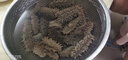 參品惠（SHENPINHUI）俄罗斯进口野生淡干海参足干纯正大红6排刺干货刺参礼盒 60头250克简装( 28_35个) 实拍图