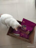 伟嘉幼猫粮海洋鱼味2kg营养加油站系列宠物猫全价粮蓝猫加菲英短猫咪 实拍图