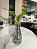 泰西丝创意手工玻璃花瓶小号网红透明水培花器禅意客厅插花花瓶摆件 迷你小水滴-烟灰 实拍图