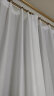 京东京造天丝绒纱帘 透光不透人半遮光窗纱客厅阳台挂钩窗帘 宽2*高2.65米 实拍图