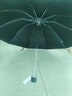 天堂 伞黑胶遮阳晴雨伞双人加大男女三折叠太阳伞定制印刷LOGO广告伞 墨绿双人黑胶升级款加大加固 10骨 【抗雷暴雨】 实拍图