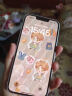 【白条免息】苹果13 Apple iPhone13 苹果13二手 国行5G手机 二手苹果手机 星光色 256G【三年店保+豪华礼包】99新 实拍图