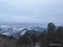 鲁王茯苓薏米山药龙须面铁棍山药面正宗营养胃早餐挂面细面条杂粮主食 10斤家庭分享装【500g/袋共十袋】 实拍图