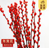 开时果 银柳鲜枝干花年宵花卉 红色真花福桶银柳水培植物室内装饰鲜花 【100cm】银柳40枝（喜庆红） 实拍图