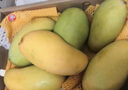 CAIFAN 海南三亚金煌水仙芒果整箱应季新鲜水果青甜心孕妇特大礼盒 礼盒装 9斤 实拍图