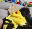 阿莫尔宠物小狗狗衣服秋冬装加绒加厚保暖泰迪比熊小型犬四脚衣猫咪衣服 皮卡丘（四脚） M-建议4-6斤内 实拍图