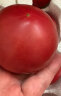 金百粟陕西泾阳普罗旺斯西红柿 生吃沙瓤西红柿番茄农家自种时令生鲜 普罗旺斯 3斤 中果 晒单实拍图