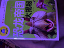 恐龙帝国大揭秘（注音彩图版）小学生一二三年级课外阅读书籍科普读物少儿百科幽默搞笑睡前故事书 实拍图