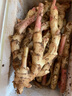 辰实【现挖发顺丰】四川嫩姜 新鲜生姜 红芽仔姜 子姜泡醋姜 四川红芽嫩姜5斤 实拍图